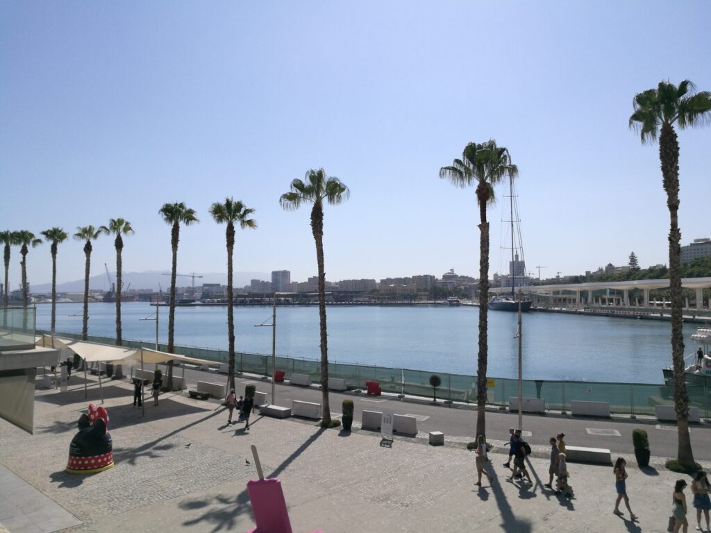 Palm trees towering over the port waters on the port side in Malaga, Spain
