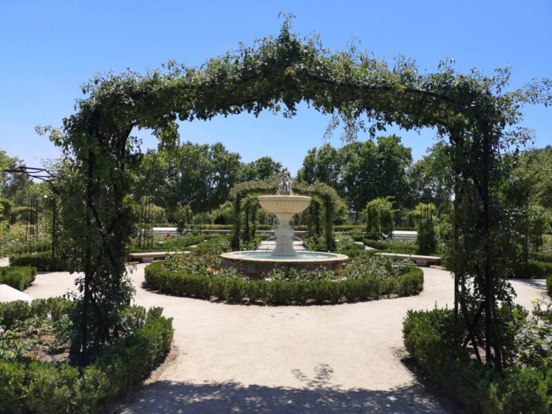 A planted arch in the rose gardens of El Retiro Park, Madrid leads into the gardens with cupid fountain behind